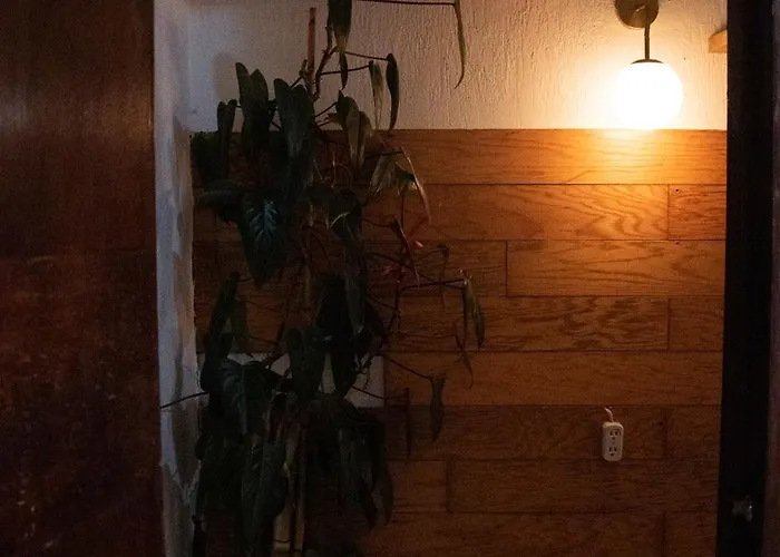 Casa Luma En El Corazon De Roma-condesa Mexico City